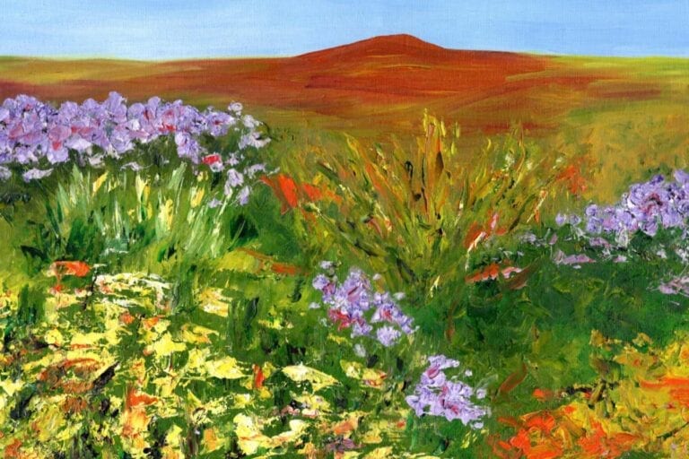 flattops wildflowers header 768x512