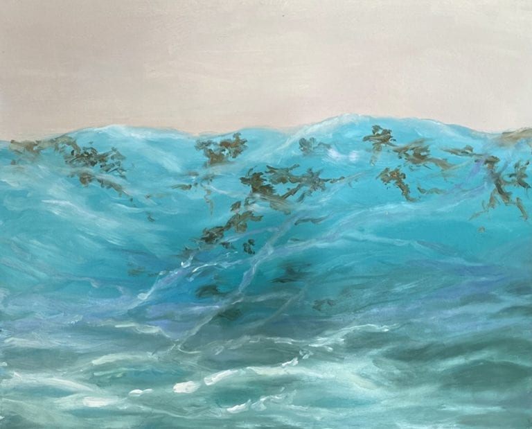 seaweed 768x619