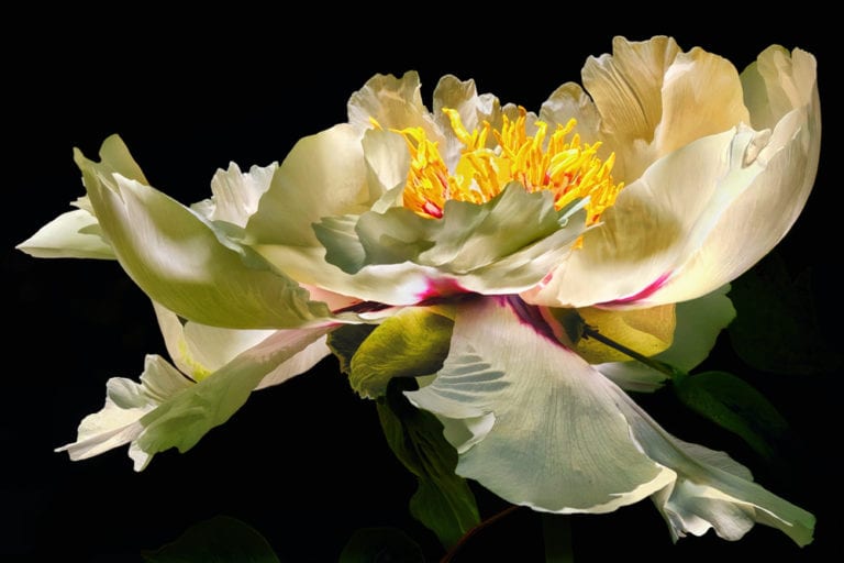 DSC09256 newer 1 use 20 feb 20 copy 768x512