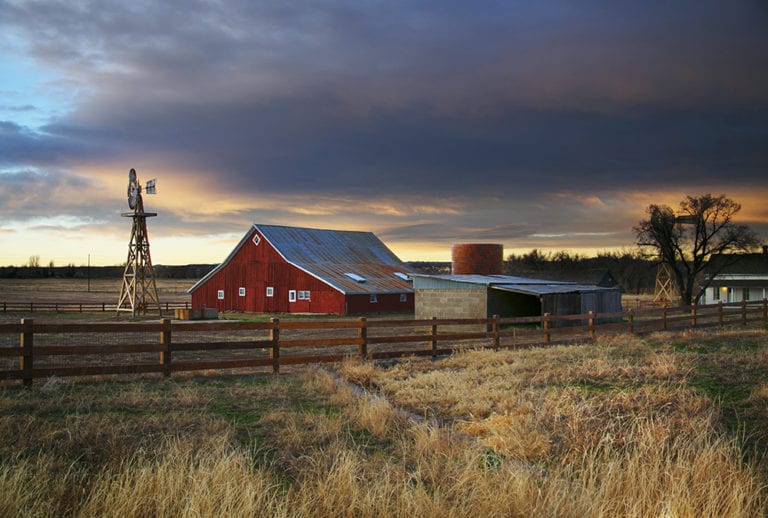 Good Morning 72dpi 768x518