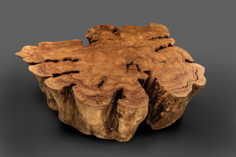 CAN DANCE Cottonwood 1 1 768x513