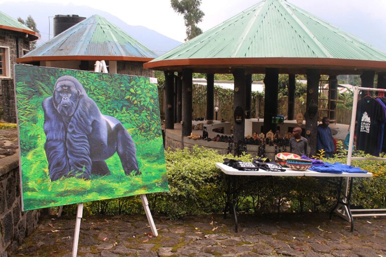 red rocks rwanda gorilla 768x512