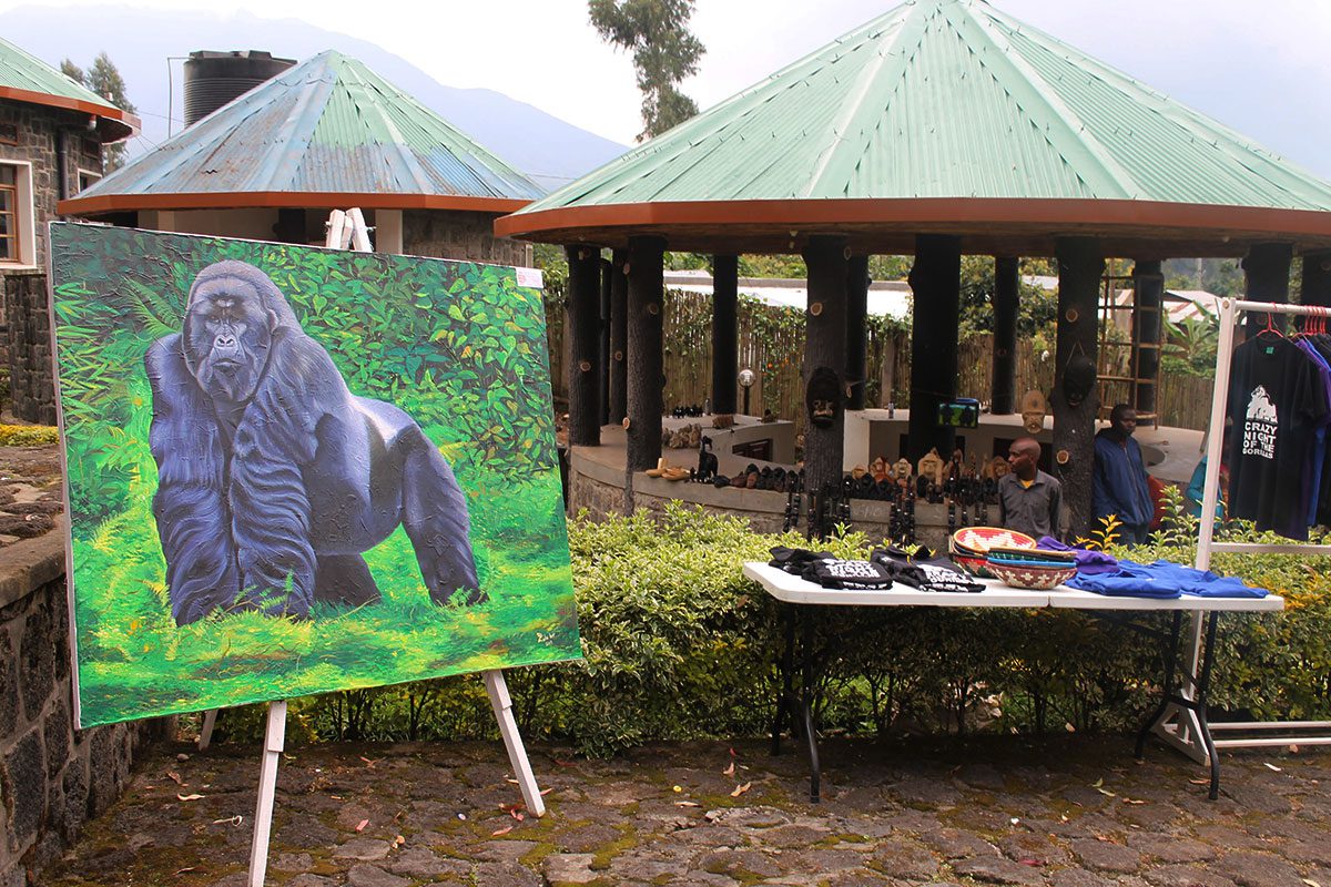 red rocks rwanda gorilla