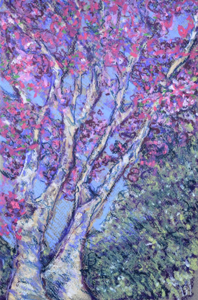 DSC 0667 copy 676x1024